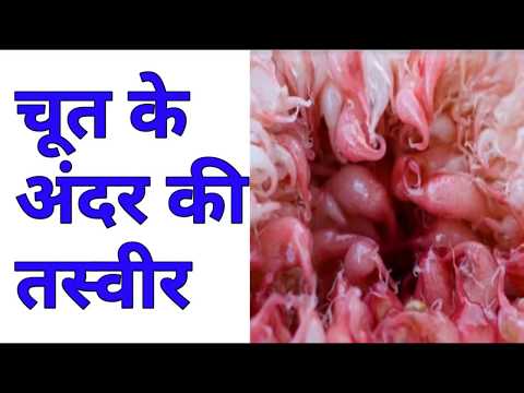 चूत के अंदर की तस्वीर ! Chut K Andar Ki Tasveer