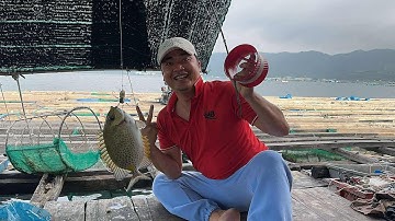 CÂU CÁ DÌA TẠI BÈ VÀ CÁI KẾT / Minh Biển Vlog