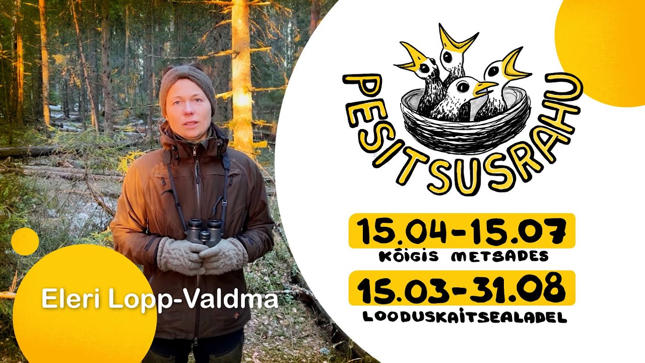 Pesitsusrahu: mõtteid jagab Eleri Lopp-Valdma