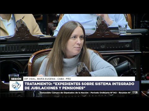 Diputada Vidal, María Eugenia - PRO - Sesión 04-06-2024 - PL