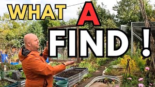 видео: АНТИКВАРНЫЕ сокровища для сада | Садоводство на участке в Великобритании картинка: АНТИКВАРНЫЕ сокровища для сада | Садоводство на участке в Великобритании