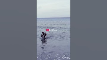 Mullet Fishing Nets on the Coast #fishing #ikanlautsegar #fish #fishinguk #viralvideo