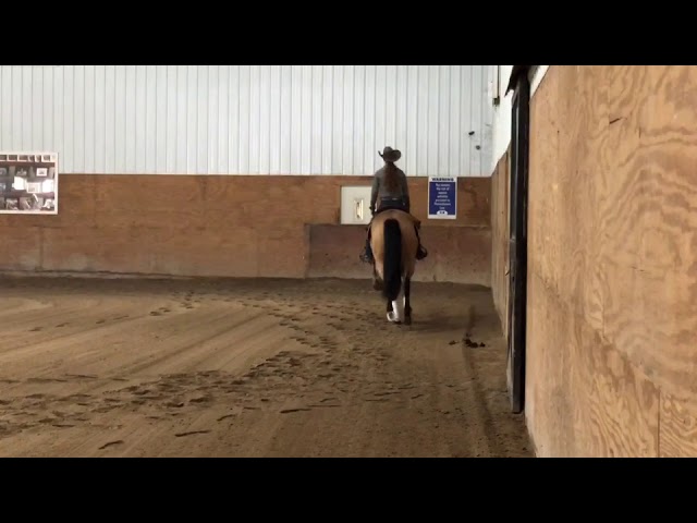 Islide Performance Horses You Sold Walla Lizzy Islide Performance Horses