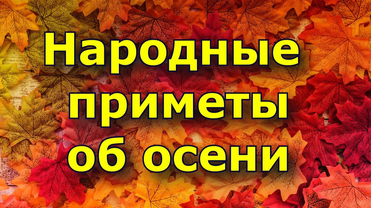 Народные приметы об осени. Приметы сентября, октября и ноября.