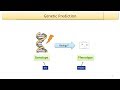 Lecture 12: Genetic Testing in a Laboratory