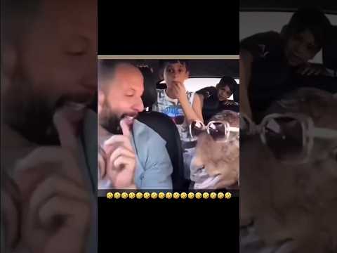 لما تعلم الخروف ازاى يقول ماء