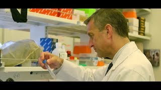 HSS Minute: Current Stem Cell Research
