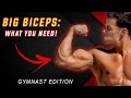 What Do You REALLY NEED for BIG BICEPS? (Gymnast Edition)