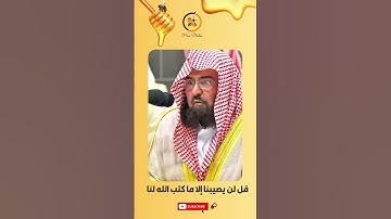 طمأنينة القلب في تلاوة الشيخ السديس: "قل لن يصيبنا إلا ما كتب الله لنا" - فيديو لا يفوتك