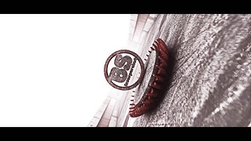 Intro for BS incorporated