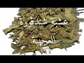 كوني احلى في عين كل من شافك كوني احلى في عين كل من شافك
