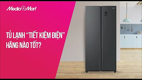 Tủ lạnh tiết kiệm điện hãng nào tốt - Điện máy MediaMart