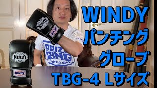 Windyのパンチンググローブ TBG-4 Lサイズを紹介