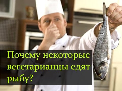 Видео: Едят ли вегетарианцы рыбу?