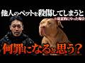 【ガチタマTV】他人のペットを故意に殺傷すると何罪になる?実は意外な法が適用されるんです… / 田村装備開発が飼ってみたい(飼っている)ペットについて