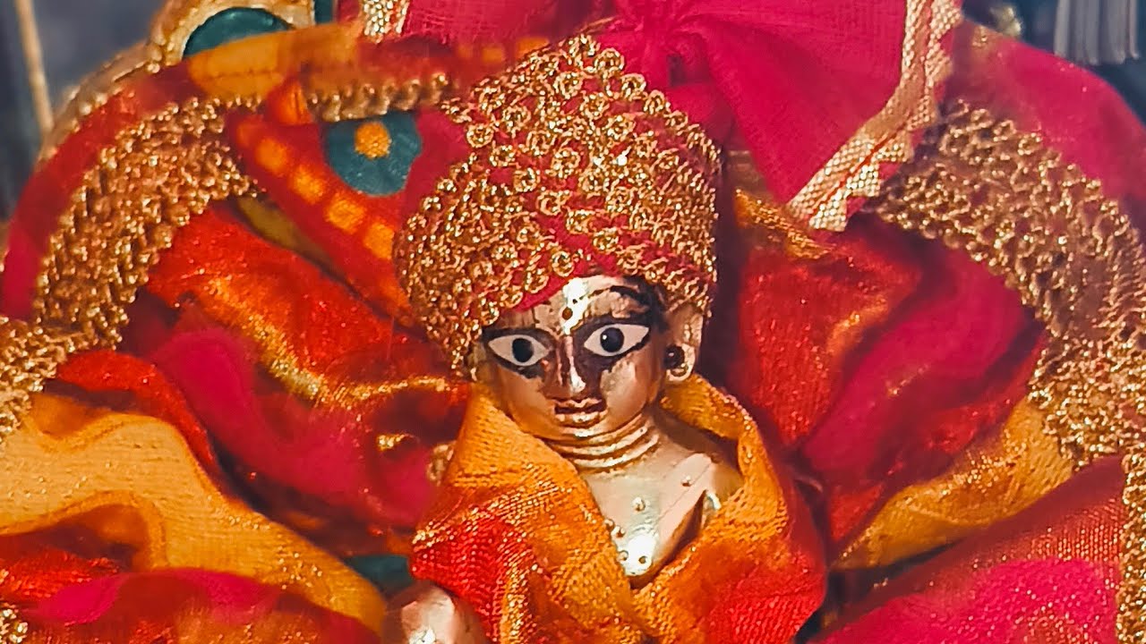 Anushkavikas vlogs is live!