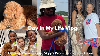 VLOG: Our Family Is Growing! (New Puppy Intro, Skyy's Prom Send-Off,  Brand Endorsements & More...)
