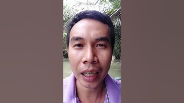 Bài mồi đặt lọp tép đơn giản, hiệu quả