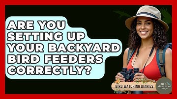 Are You Setting Up Your Backyard Bird Feeders Correctly? - Bird Watching Diaries