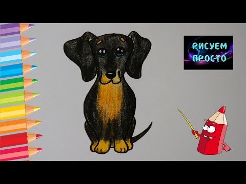 Как ПРОСТО нарисовать СОБАКУ ТАКСУ/499/How easy it is to draw a DACHSHUND DOG