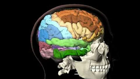 Philosopher Shelly Kagan vs. Apologist William Lane Craig on Morality