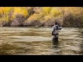 Our Favorite Big Boy Trout Spey | Winston BIII TH Microspey 5 wt