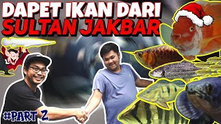 SAKIT !! KOLEKSI IKAN MILYARAN SULTAN KALIDERES
