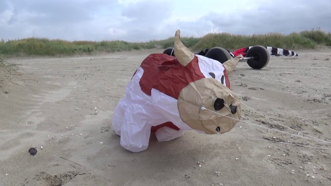 Buggykiten auf Fanö 2017