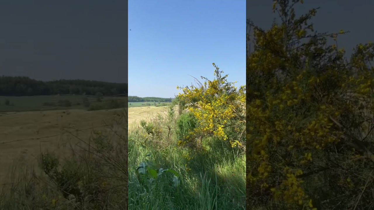 🚲 Houffalize's Breathtaking Landscape: A Tapestry of Rolling Hills 🇧🇪