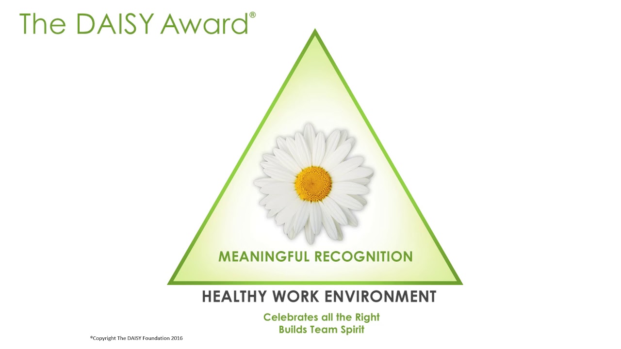 The DAISY Foundation Model YouTube