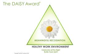 The DAISY Foundation Model