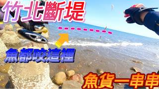 Download Lagu 在地人的後花園(((竹北鳳鼻隧道))) 這個地方實在是太方便了吧! 車子可以直接到達釣場耶~釣完以後往南下開900公尺有沖水設備廁所喔~#遠投 #磯釣 #釣魚 #沙梭 #尚海灘 #新月沙灘#沙梭釣場 MP3 Download Lagu 在地人的後花園(((竹北鳳鼻隧道))) 這個地方實在是太方便了吧! 車子可以直接到達釣場耶~釣完以後往南下開900公尺有沖水設備廁所喔~#遠投 #磯釣 #釣魚 #沙梭 #尚海灘 #新月沙灘#沙梭釣場 MP3