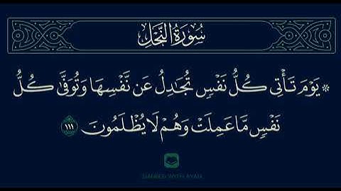 |Surah An-Nahl|Nahl Suresi|111|سورة النحل|