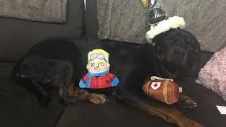 BARKBOX | Unboxing | December | Large Dog With Extra Toy