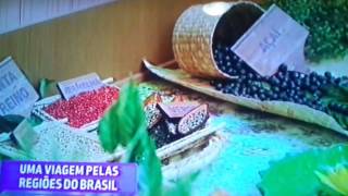 Exposição - Discovery Kids Brasil