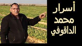 محمد الداقوفى هل هو محمد الريان سمالوط الجديد ؟؟ اين اختفى وما مصير الملايين ؟؟؟