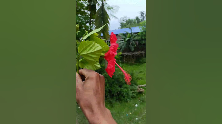 aaj raat akela chat pe galat soya #minivlog #dailyminivlog #minivlogseries #familyvlog #familyfun