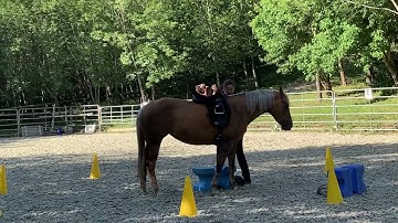Clicker training: saddling at liberty