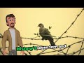 Song Of Palestine S Soul 