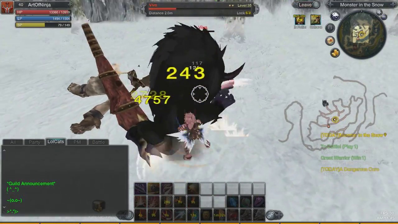 RaiderZ - Viva Solo (Zerk)