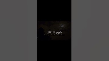 • القارى: عبدالرحمن مسعد •( سورة_العنكبوت - الآية 59 - 60 )🤍#عبدالرحمن_مسعد #quran #قرآن