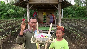 BOCAH PETUALANG - RUKUN DAMAI DI SUROBALI (12/1/17) 3-3