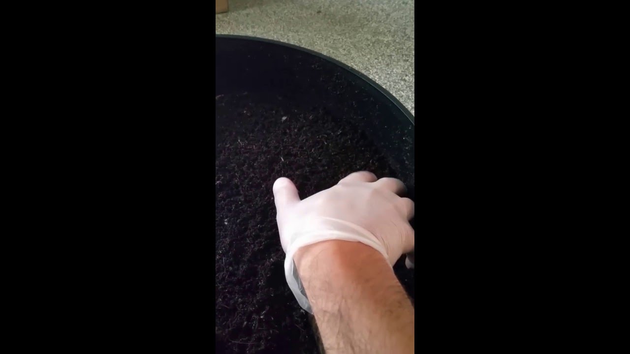 Our new can-o-worms composter!!