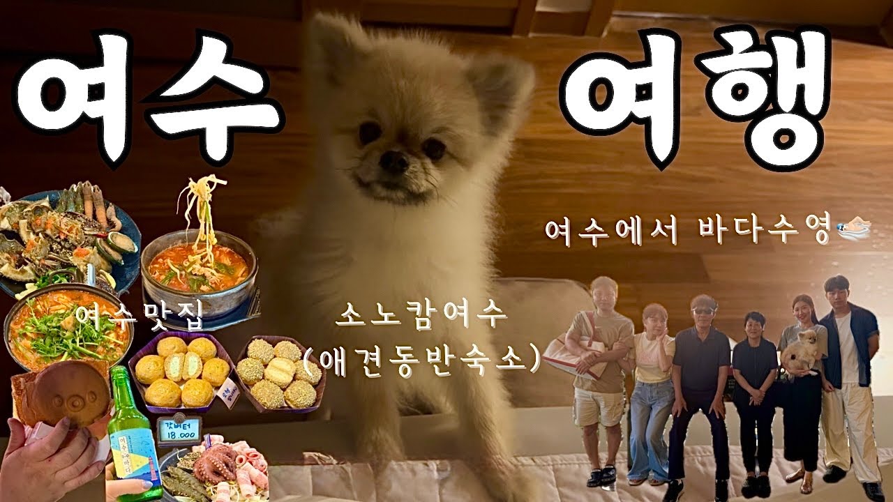[🇰🇷] 여수 1박2일 애견동반 가족여행 🐶 | 반려견 동반 호텔 추천 | 여수에서 바다수영하기🏊🏻‍♂️ | 여수맛집, 여수가볼만한곳 | 2살 강아지 포메라니안 첫 여행기🐾