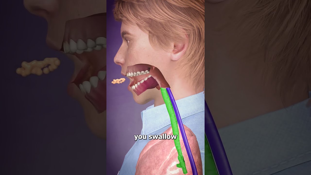 Swallowing Down The Wrong Pipe 