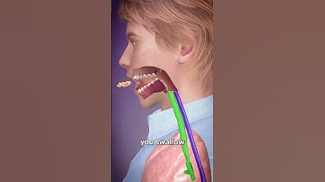 Thumbnail of Swallowing Down The Wrong Pipe 😟