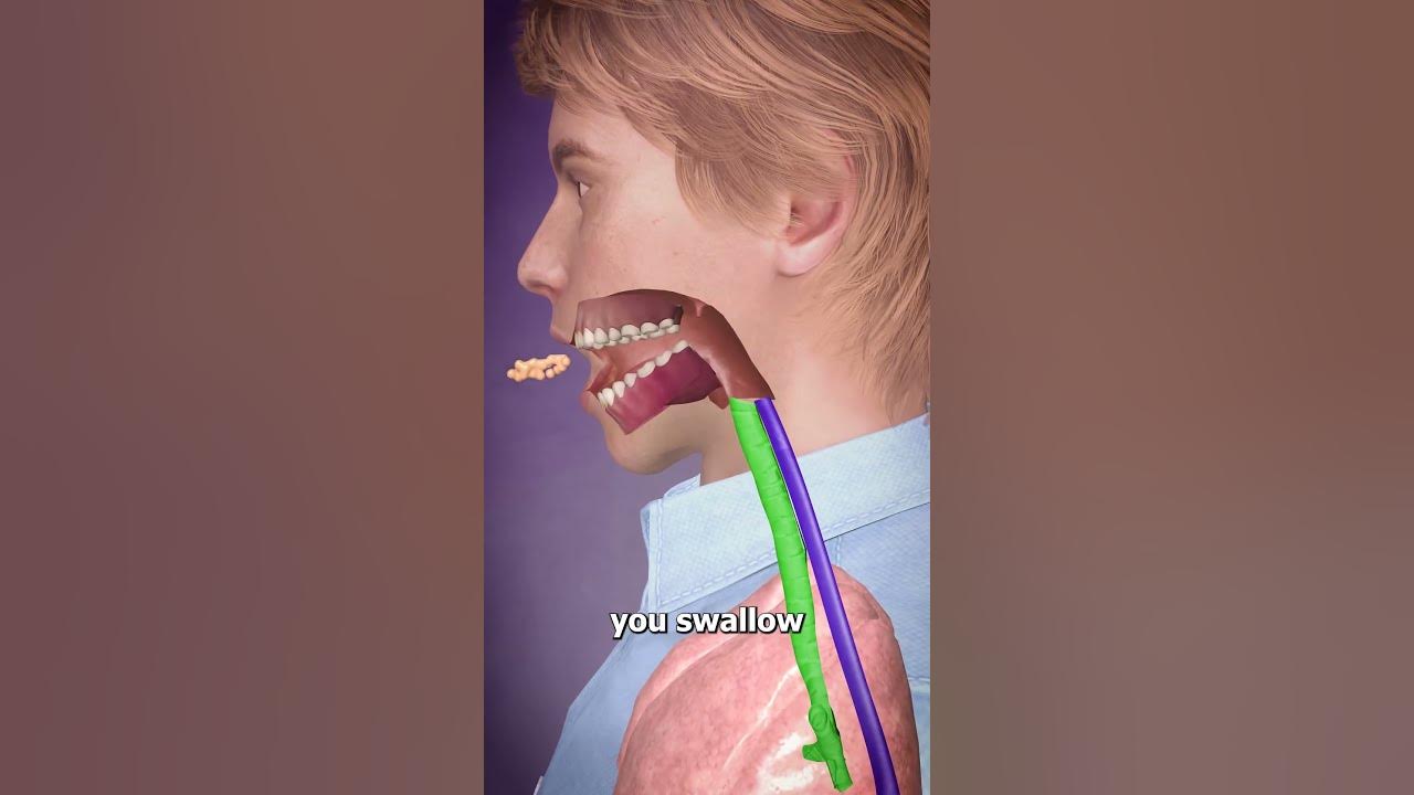 Swallowing Down The Wrong Pipe 😟
