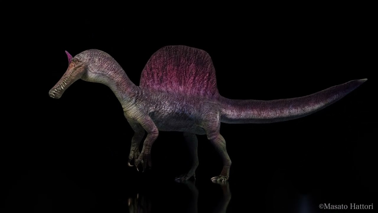 スピノサウルス maxresdefault.jpg