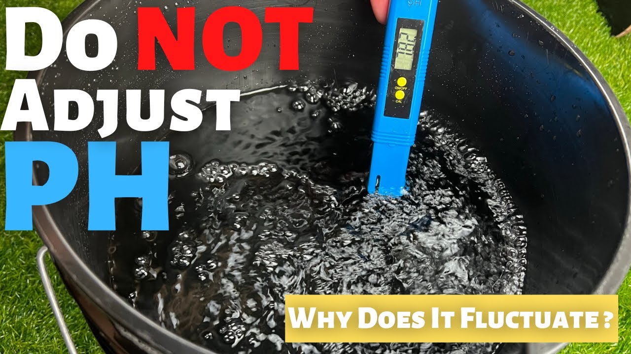 Не регулируйте PH воды в DWC - Почему PH колеблется в глубоководной культуре?