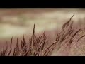 ابن عربي لبست صفية خرقة الفقراء 